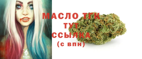 индика Майский