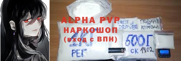 индика Майский