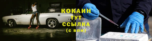 индика Майский