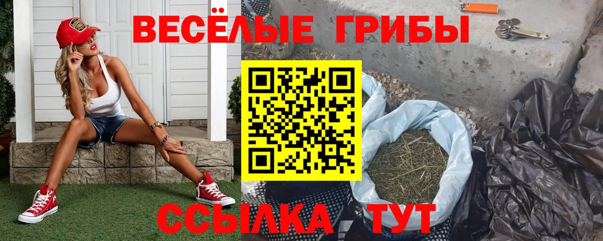 Галлюциногенные грибы Psilocybine cubensis Новошахтинск