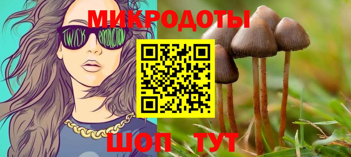 магазин продажи   Вход с VPN  Новошахтинск  Галлюциногенные грибы Psilocybe 